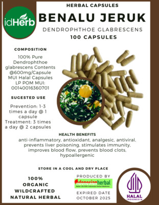 [idHerb] Kräuter KAPSELN Dendrophthoe Glabrescens Benalu Jeruk Natural Bio