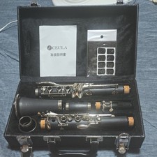 Clarinet with hard case