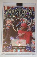 2024 James Wood  Mammoth Washington Nationals Exclusive 💥TRUE 1 OF 1 AUTO RC