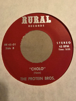 The Protein Bros.*    Drainpipe / Cholo PSYCH FUNK  45 RPM VG+ SEA FOR YOURSELF