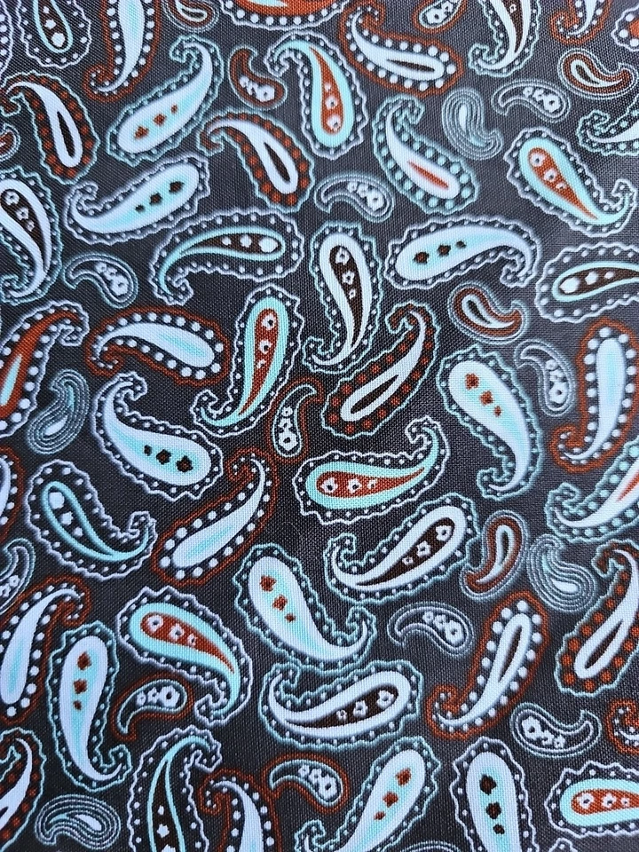 Tela Brother Sister Design Studio Multicolor Paisley 2010 Vendida por Yarda Foto 4 de 4