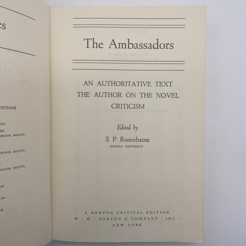 The Ambassadors By Henry James 1964 Norton Paperback Vintage - Picture 4 of 5