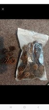 Pack Of Pine Cones