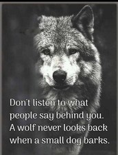 Funny quote refrigerator magnet 3 1/2"x 4 1/2" Made in the USA