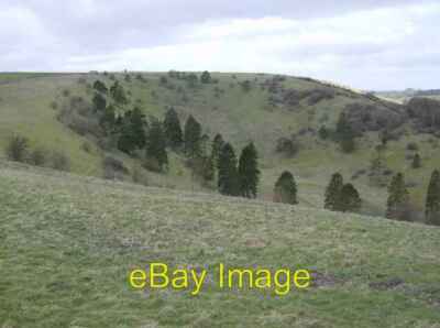 Photo 6x4 The Warren, White Hill Kingsclere Named as The Warren on 1:25K  c2007