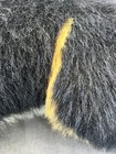 Bild 8 von 16