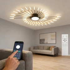 42+1 Light Black Fireworks Ceiling Light Modern LED Flush Mount Flower