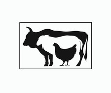 Stencil Simple Bull Sheep Chicken for Paint A...