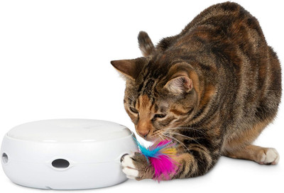 Ambush Interactive Cat Toys for Indoor/Outdoor Activity - New & Improved Cat Fea