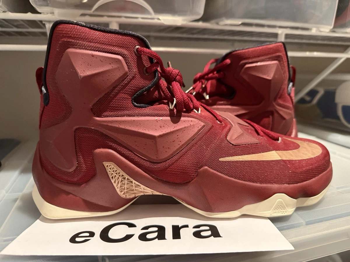 Nike LeBron 13 Greatness for Sale | Authenticity Guaranteed 