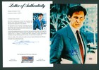 Harrison Ford Signed PSA/DNA LOA Autographed 8X10 WorkingGirl Photo Auto PSA COA