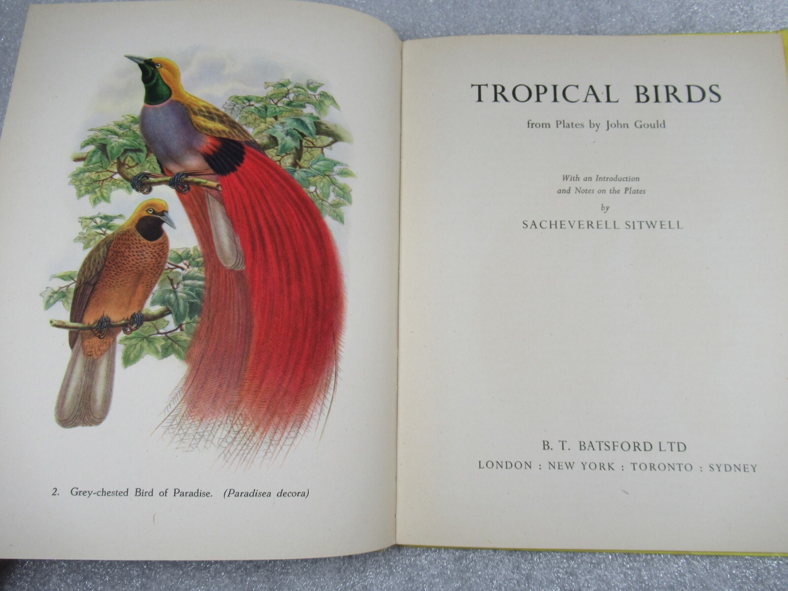 TROPICAL BIRDS John Gould & Sacheverell Sitwell 1948 Batsford