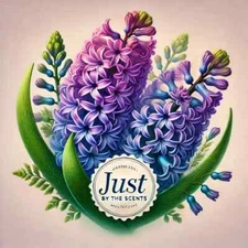Hyacinth Scent Fragrance Oil 1/2 Oz Free Shipping USA SELLER