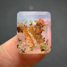 Scenic Moss Agate Cabochon 15x12x6mm High Quality 12 ct