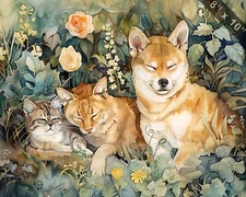 Shiba Inu and Exotic Shorthair cat in a whimsical garden 8x10 Print