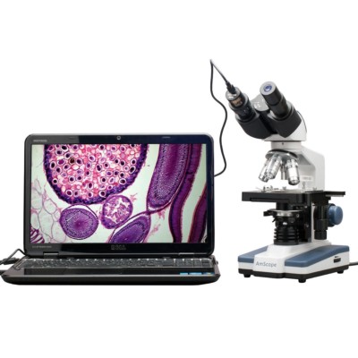 AmScope 40X-2500X LED Digital Fernglas Verbindung Mikroskop, 3D Stage, 5MP