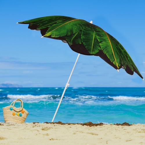 6.5 Foot Beach Umbrella w/ Sand Anchor, Tilt, UPF 50+ Sun Protection, Portable - 第 8/21 張圖片