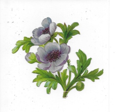 (36) OBLATEN GLANZBILD  -   8 cm  um 1885