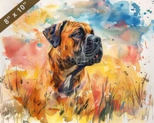 Boerboel watercolor painting by a vibrant field 8x10 Print 