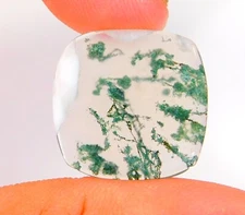 08 Cts Natural Green Moss Agate Square Cabochon Loose Gemstone 20x20x2mm CG=0267