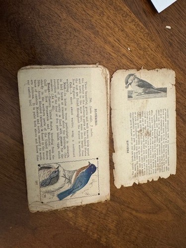 WWII Photo, Old Coins, Bird Guide 1905, Letter & Postcards Estate Lot - Picture 8 of 24
