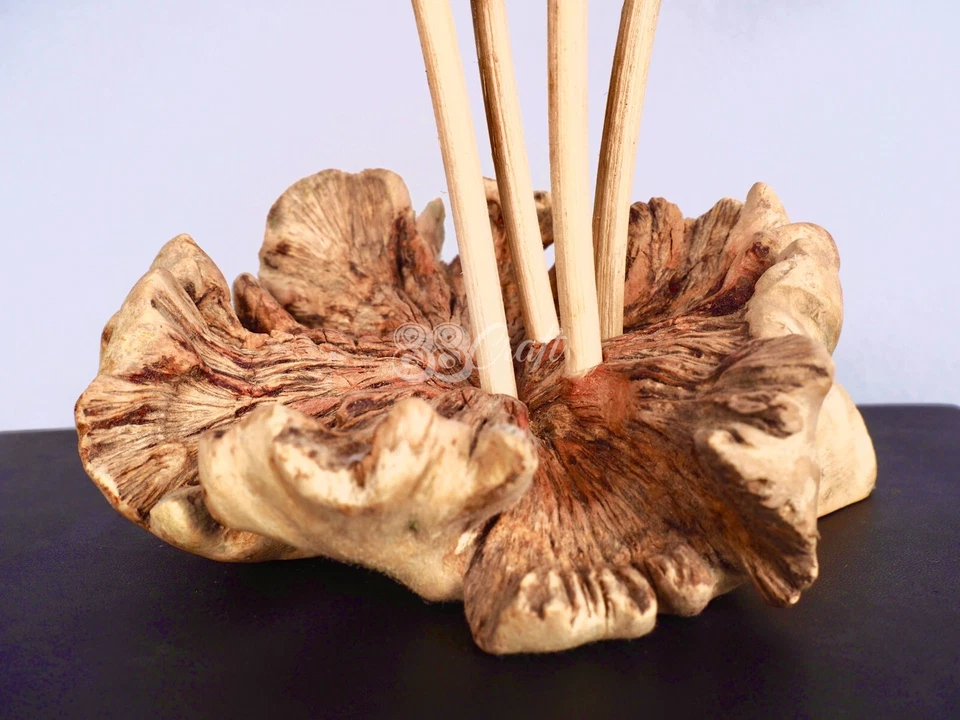 88Craft Wooden Carving Mushroom Bee Parasite Sculpture Ornament Hand Carved - Image 4 of 4