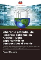 Foued Chabane | LibéRer Le Potentiel De L'éNergie éOlienne En AlgéRie :...
