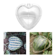 Pastèque en forme de coeur moules de croissance premium professionnel