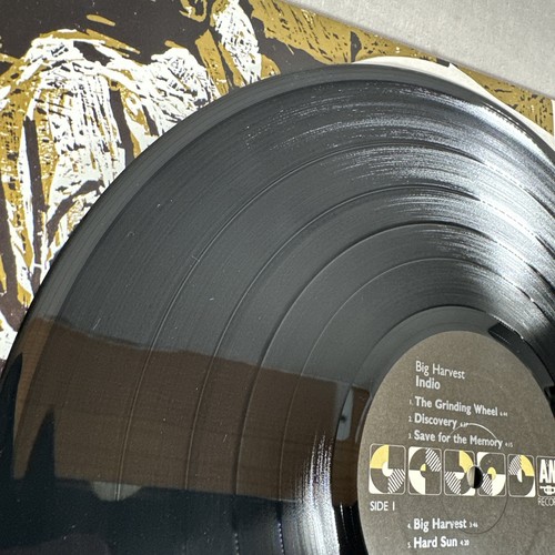 Indio - Big Harvest Promo Vintage Vinyl Schallplatte - Bild 9 von 15