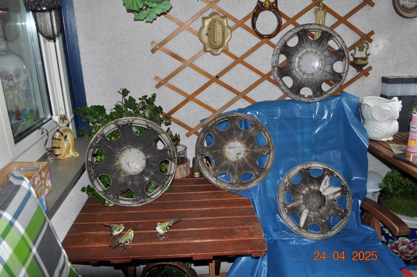 Bild 7 von 11