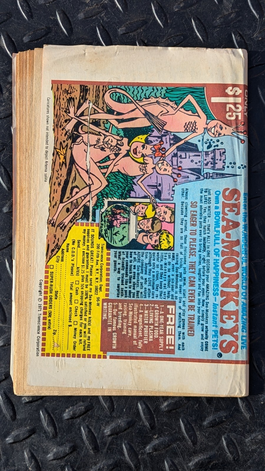 Picture 2 of 3
