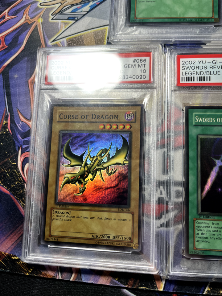 which booster box should i buy mtg MTG Zendikar Rising