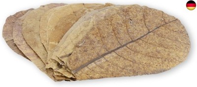 ProFlora  Seemandelbaumblätter Aquarium - Organische Catappa-Leaves als n