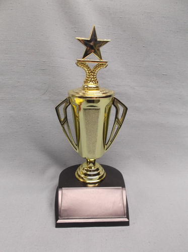 holiday star CUP trophy award black base - Picture 1 of 1