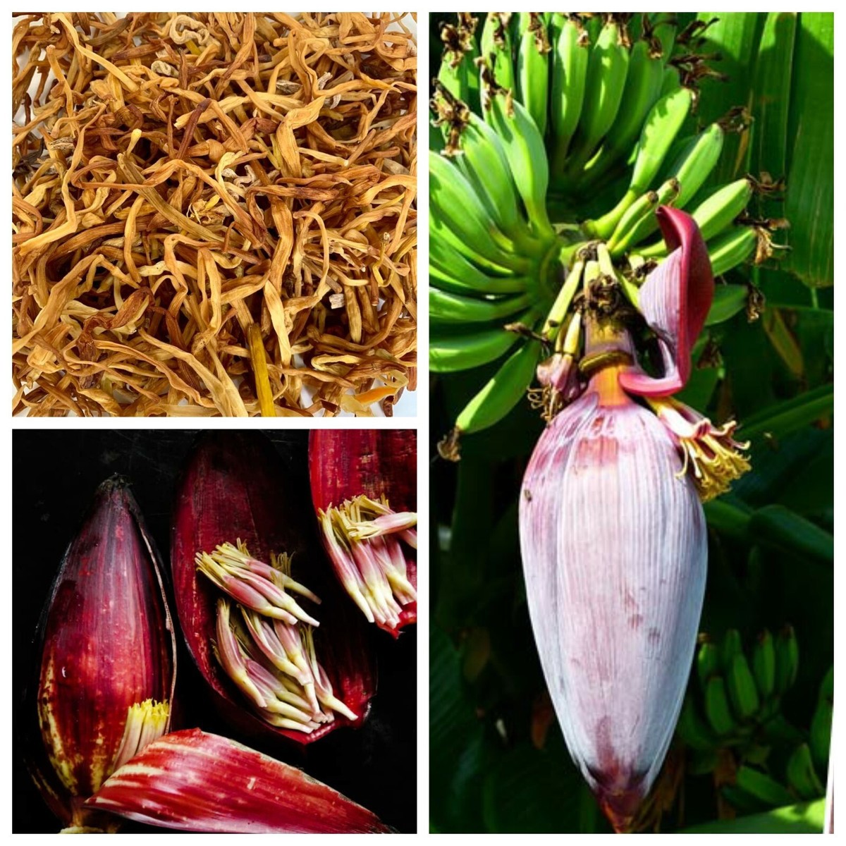 Banana Flower Nutrition Best Flower Site