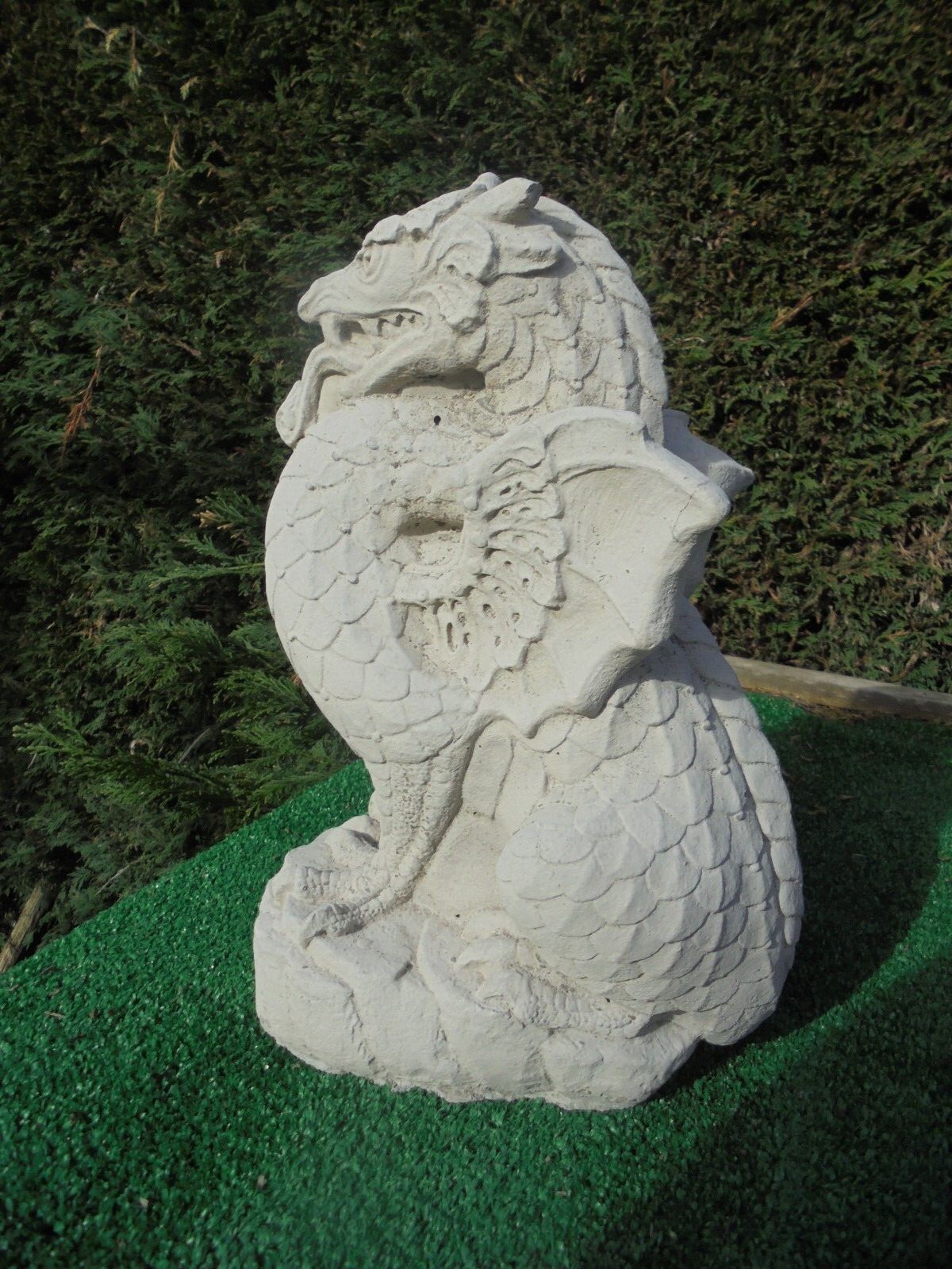 Picture 9 of 17