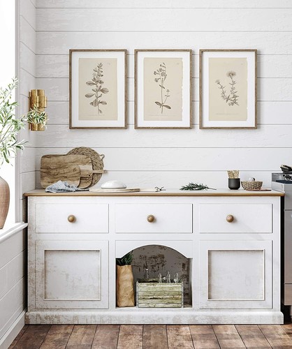 Wall Plant Art Prints Botanical Décor Frame Included Not Green Set And Antique - Picture 10 of 12