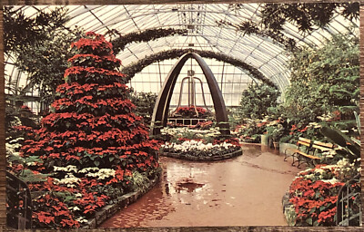 Postcard Christmas Display Krohn Conservatory Cincinnati, OH A18