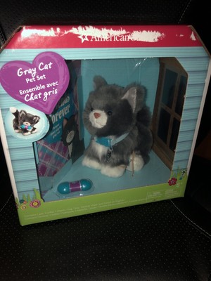 american girl gray cat