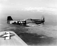 North American P-51 Mustang World War II WWII WW2 8x10 Photo 544c