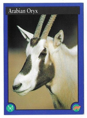 1993 Environmental Action Cards Endangered Animals Series 2 Arabian Oryx #10