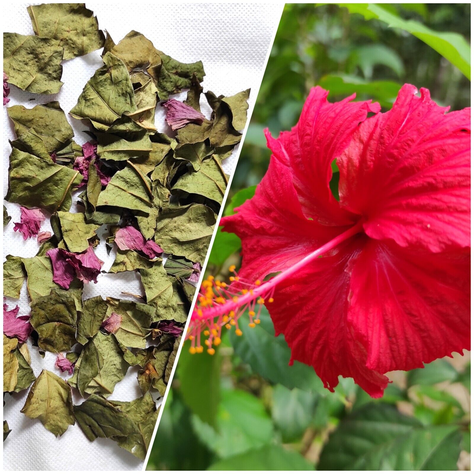 Hibiscus Leaves/Flower Mixture Natural Dried Herbal Pure Organic Hair Care  Grow | eBay