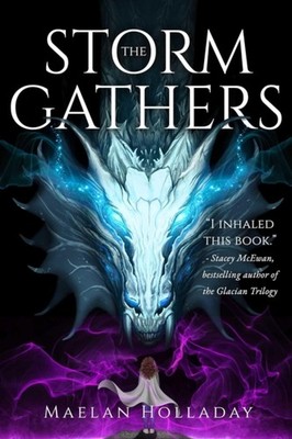 The Storm Gathers by Maelan Holladay (Paperback Book)