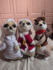 Meerkat Teddy Bundle