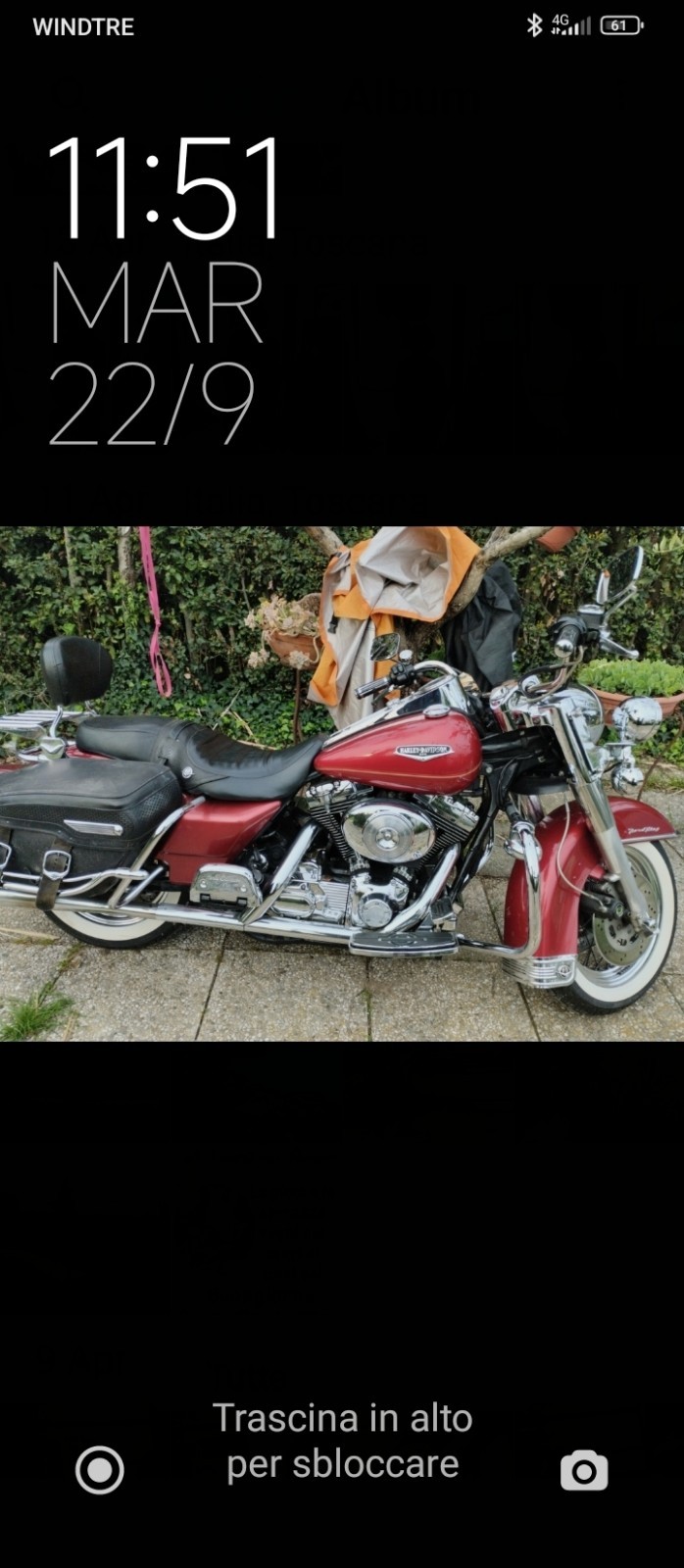Harley Davidson