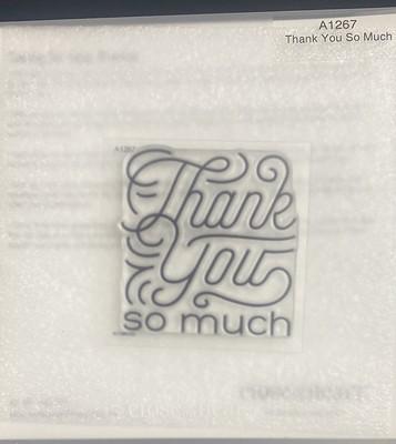 CTMH Stamp Single THANK YOU SO MUCH Approx. 3  X 3  Card Making & Scrapbooking