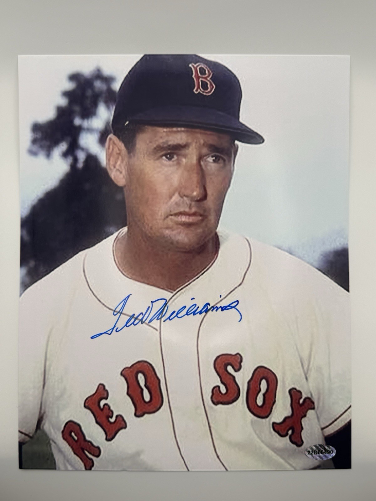 Autographed Ted Williams Signed 8x10 Photo w/COA Boston Red Sox