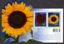 Canada - #2440 SUNFLOWERS Souvenir Sheet (Flowers) - MNH