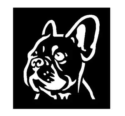 french bulldog arrowhead puppy store