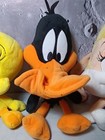 Foto 4 di 6